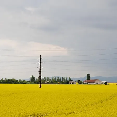 Lucie Pod řípem * Roudnice nad Labem